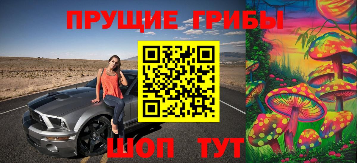 Усть-Джегута  наркотики  Вход с VPN  Псилоцибиновые грибы MAGIC MUSHROOMS 